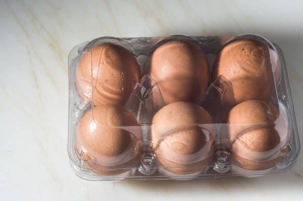 تصویر 1 از شانه تخم مرغ درب دار محکم ایمن حمل آسان